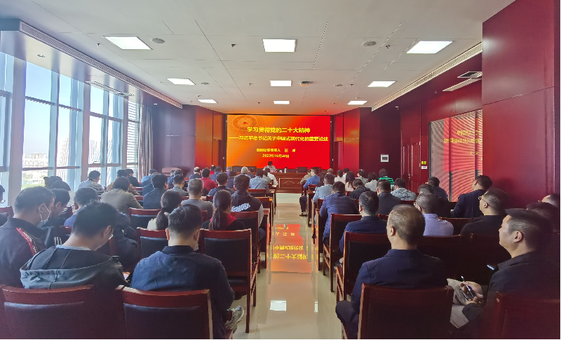 紧跟核心强忠诚 在深学细悟中坚定信仰信念 ——万象城网页版-万象城（中国）
负责人汪洋同志为全体党员讲授主题教育专题党课